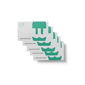 Cartes RFID - compatibles WALLBOX uniquement - pack de 5 cartes